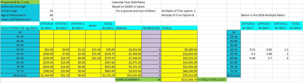 FEGLI Option B or Universal Life Insurance